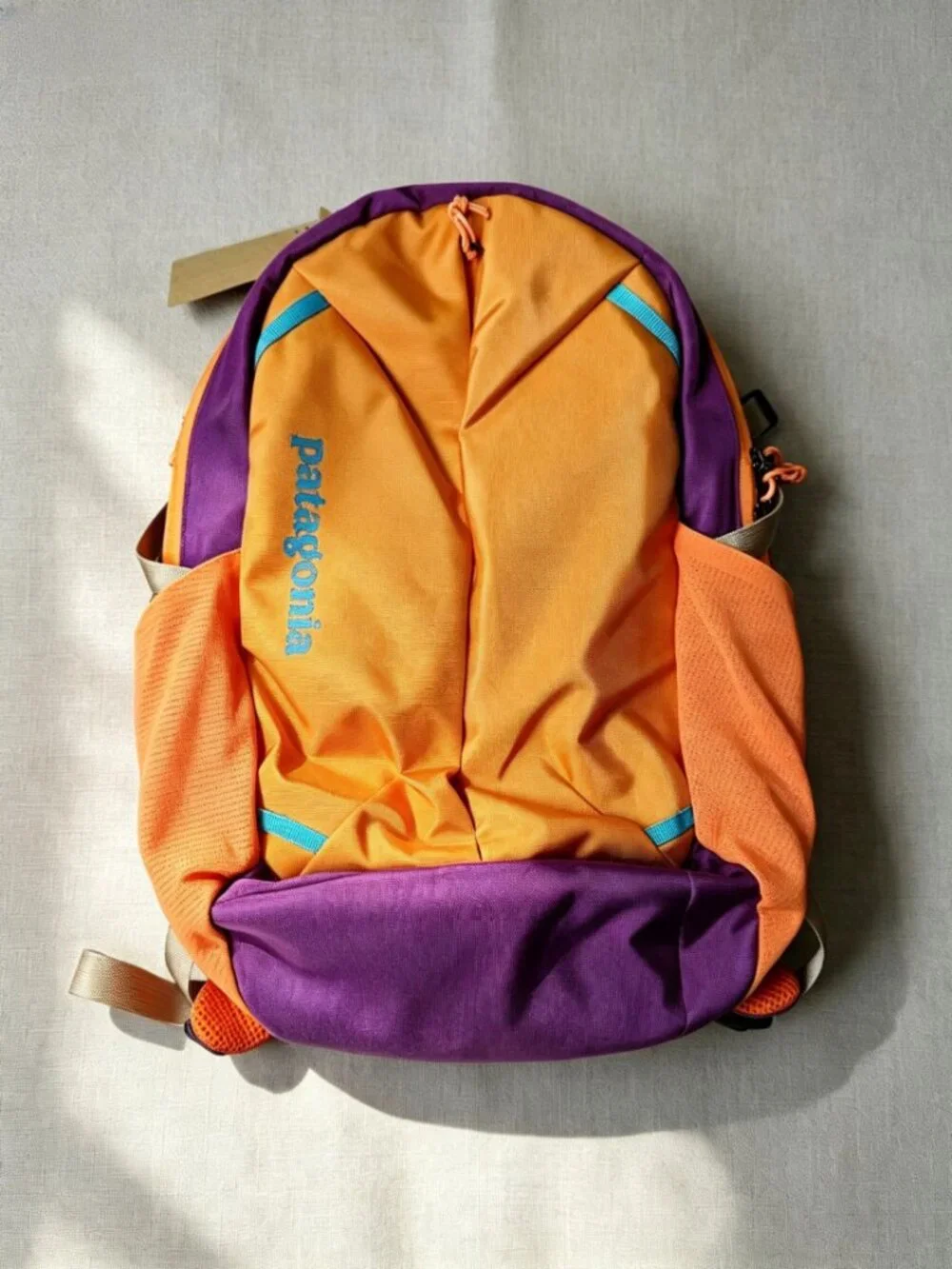 Patagonia Purple & Orange Adventure Daypack 26L